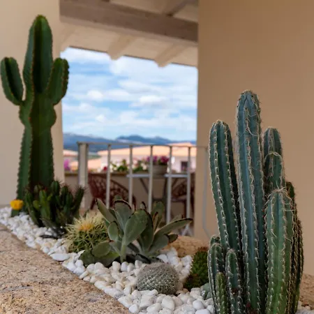 بيت ضيافة Dicciosu 4*