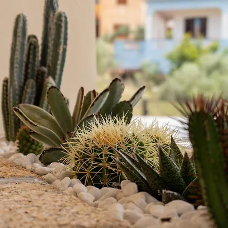 Dicciosu 4* بودوني