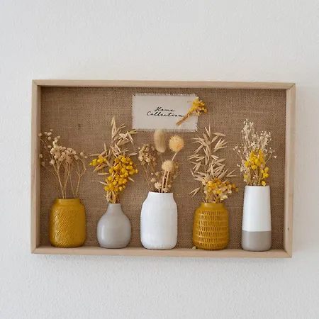 Dicciosu بيت ضيافة بودوني